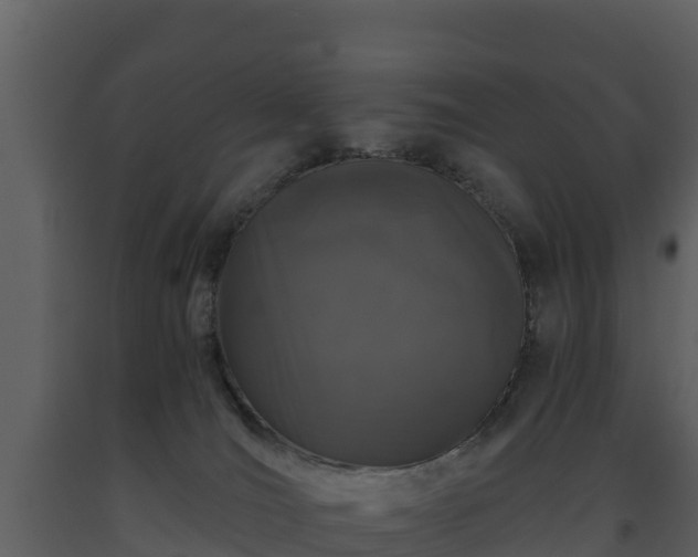 X0000093460036200710191133