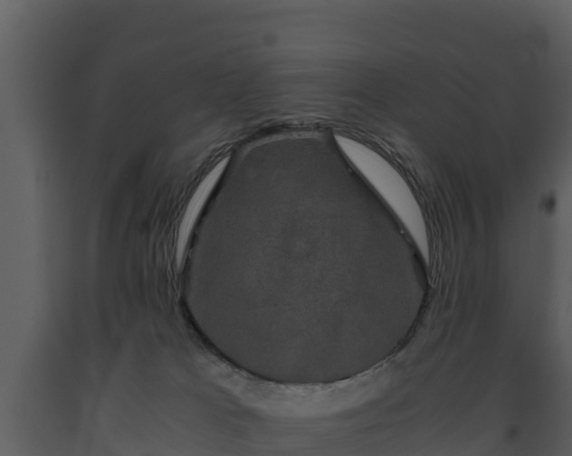 X0000093460037200710191133