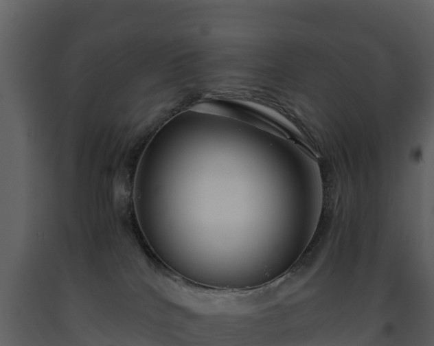 X0000093460040200710191133