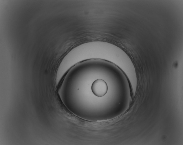 X0000093460041200710191133