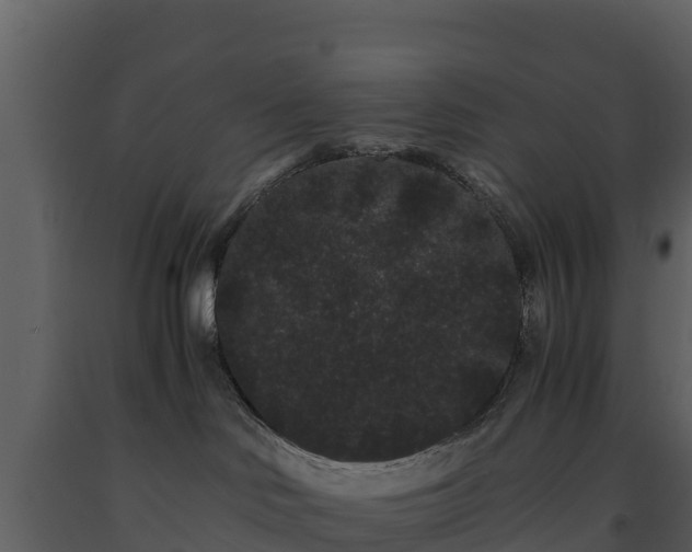 X0000093460046200710191133