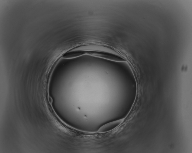 X0000093460049200710191132