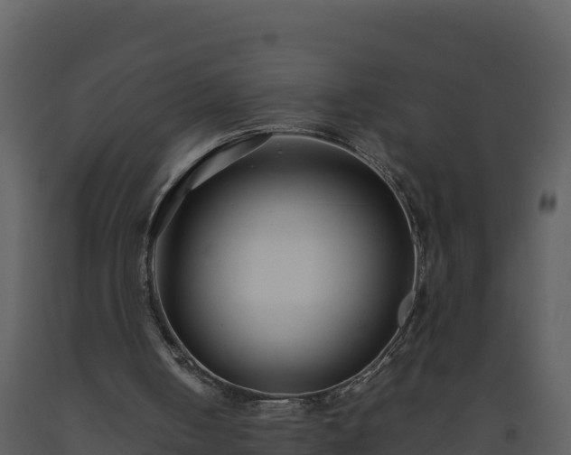 X0000093460050200710191132