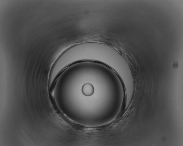 X0000093460052200710191132