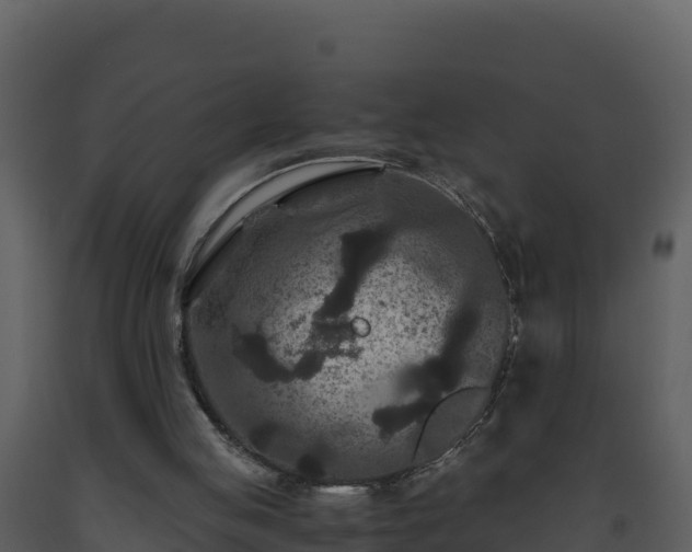 X0000093460053200710191132