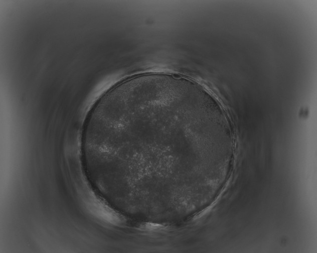 X0000093460055200710191132