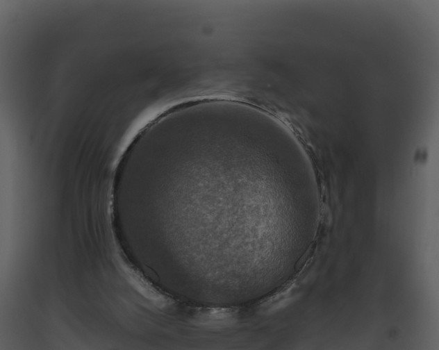 X0000093460056200710191132