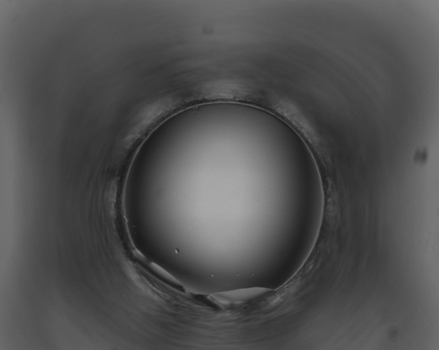 X0000093460058200710191132