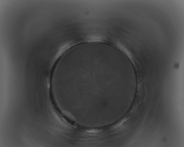 X0000093460059200710191132