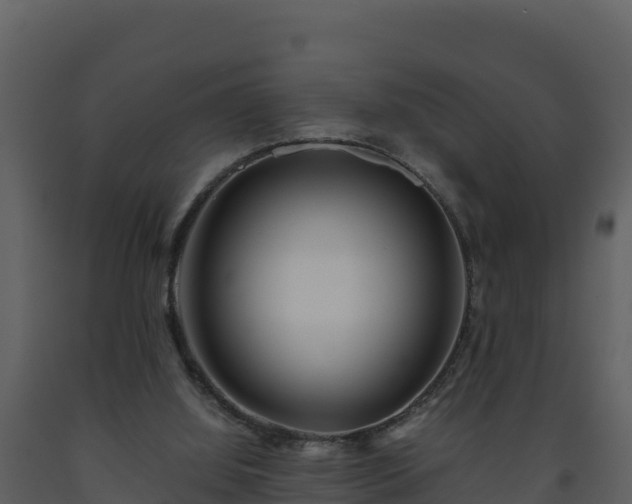 X0000093460060200710191132