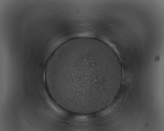 X0000093460061200710191132