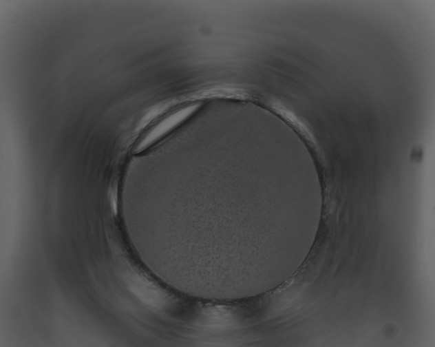 X0000093460062200710191132