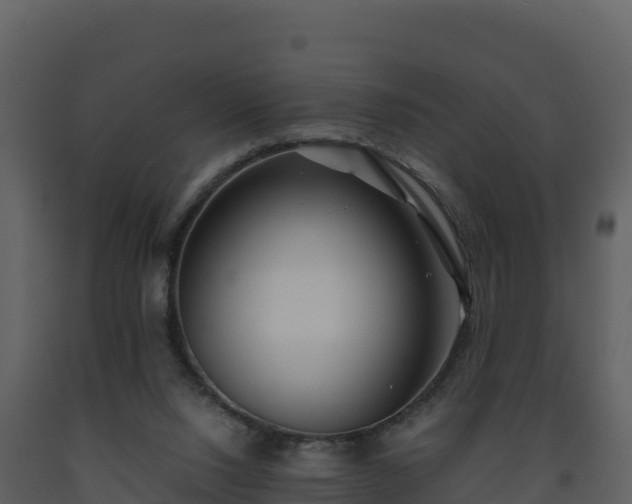 X0000093460064200710191132