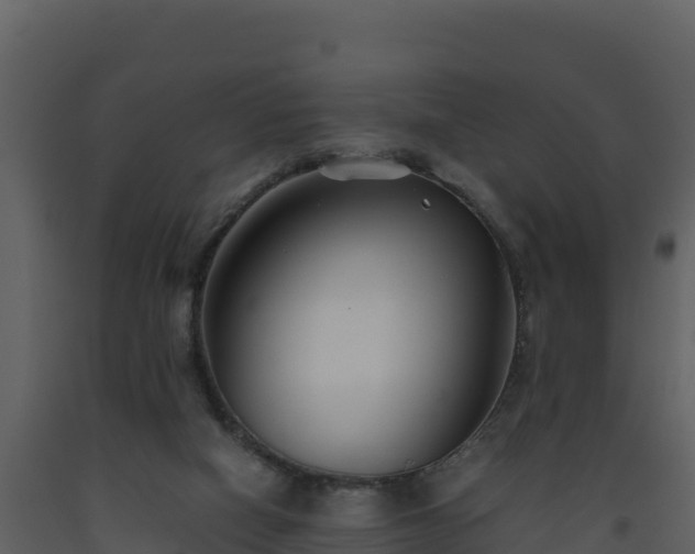 X0000093460066200710191132