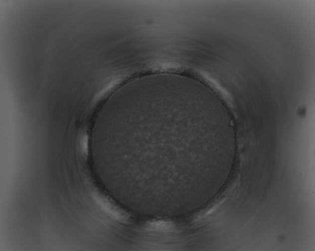 X0000093460067200710191132