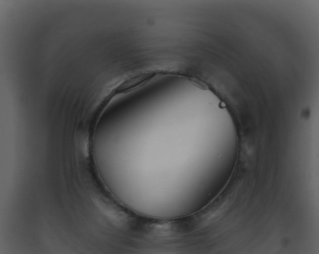 X0000093460068200710191132