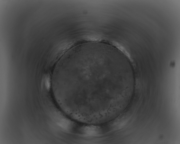 X0000093460069200710191132