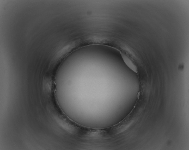 X0000093460072200710191132