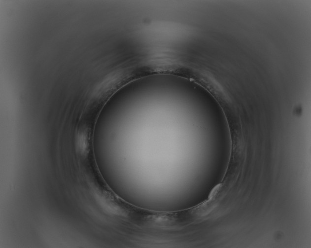 X0000093460074200710191133