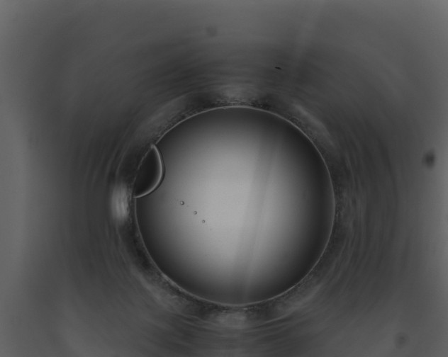 X0000093460075200710191133