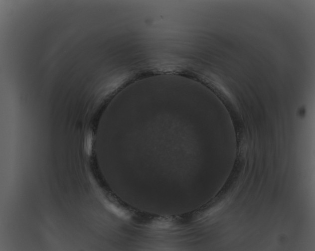 X0000093460076200710191133