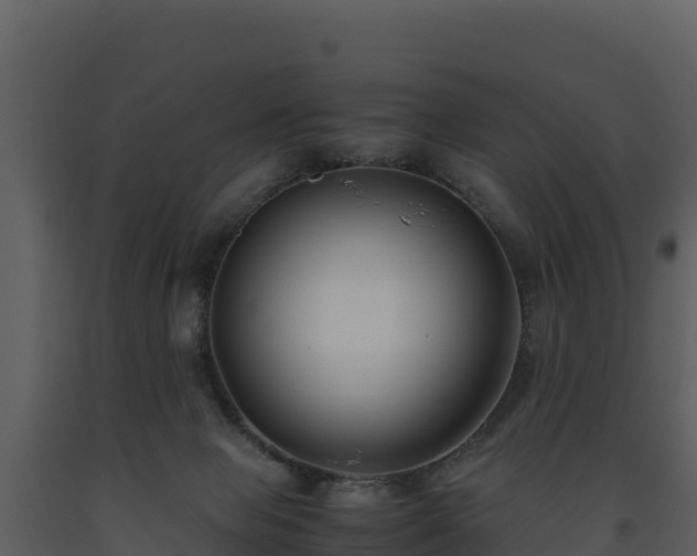 X0000093460077200710191133