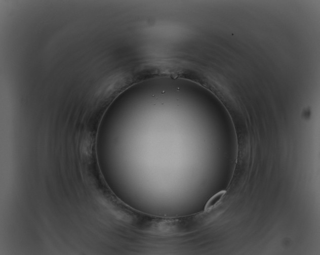 X0000093460078200710191133