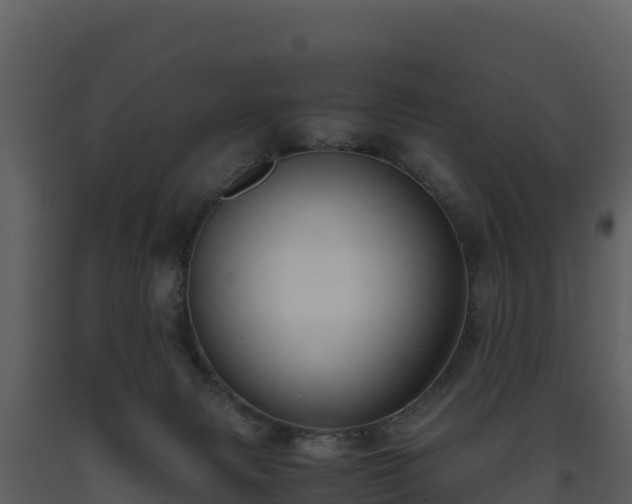 X0000093460079200710191133