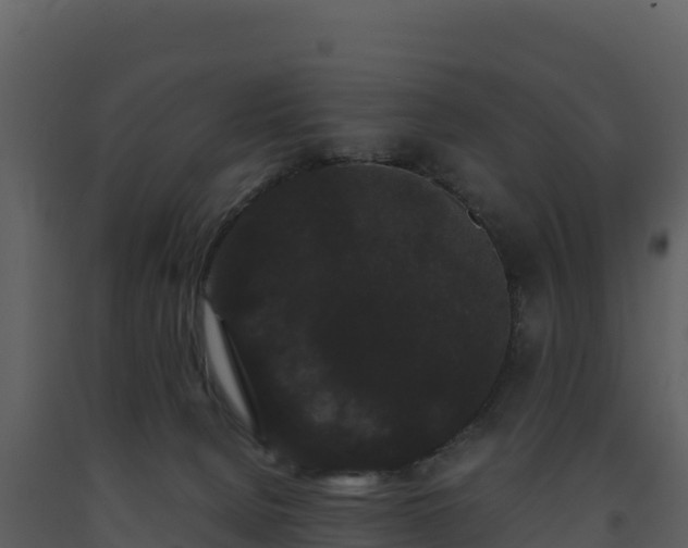 X0000093460080200710191133