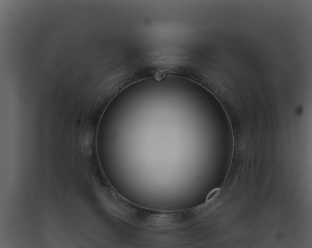 X0000093460082200710191133