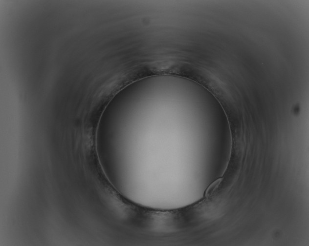 X0000093460085200710191133