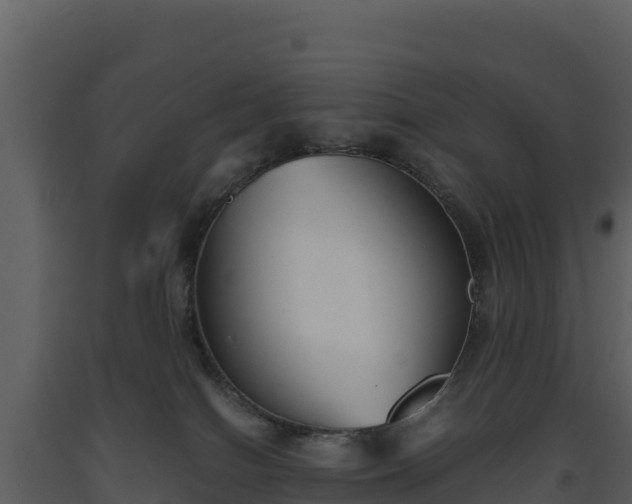 X0000093460086200710191133