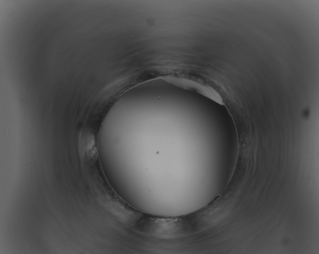 X0000093460089200710191133