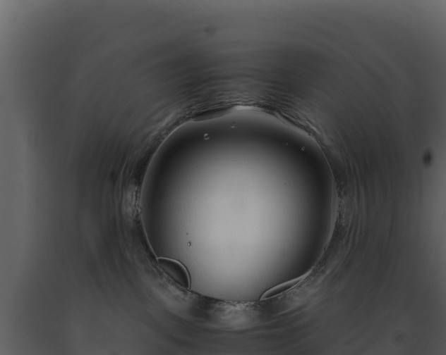 X0000093460093200710191133