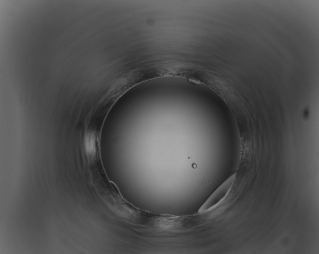 X0000093460094200710191133