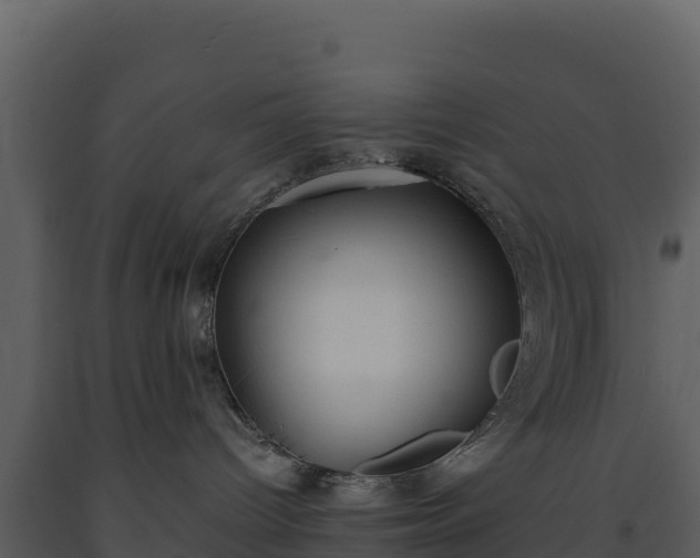 X0000093460096200710191133