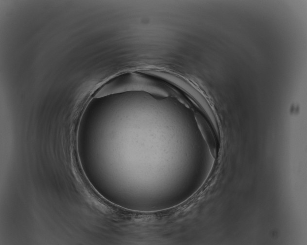 X0000093460097200710191132