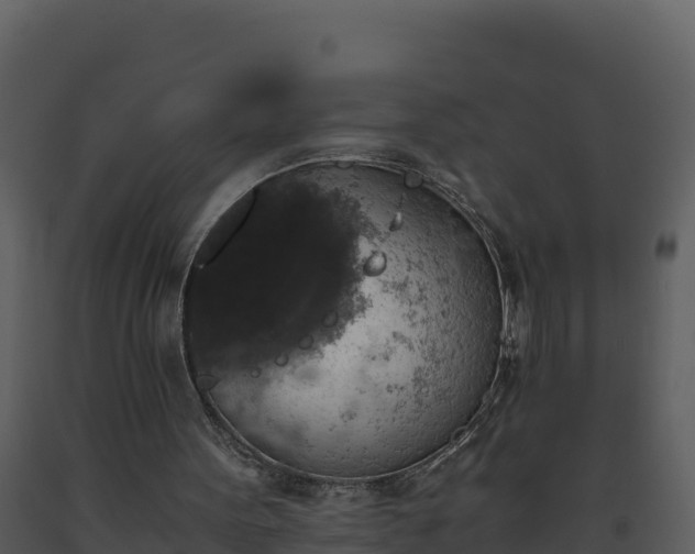 X0000093460099200710191132