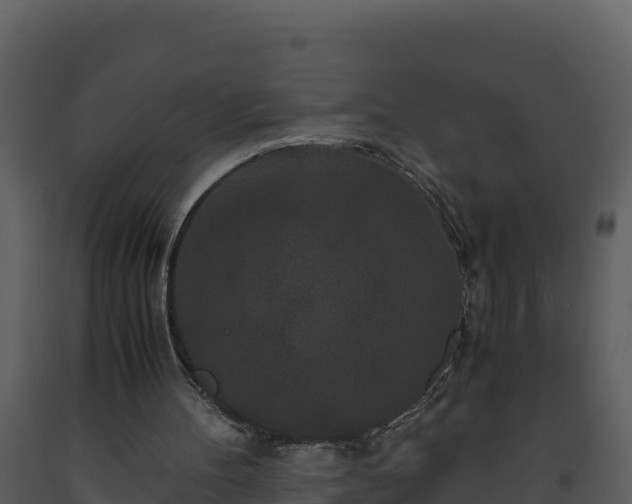 X0000093460100200710191132