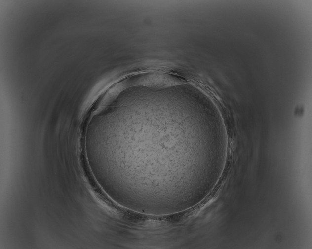 X0000093460101200710191132