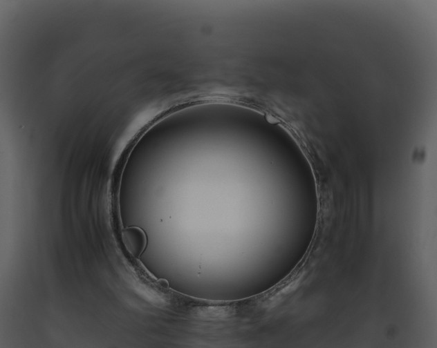 X0000093460102200710191132