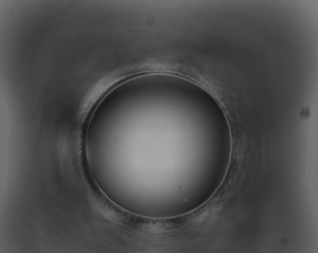 X0000093460103200710191132