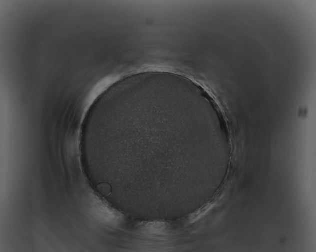 X0000093460104200710191132