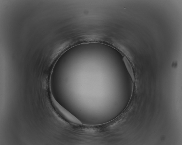 X0000093460105200710191132