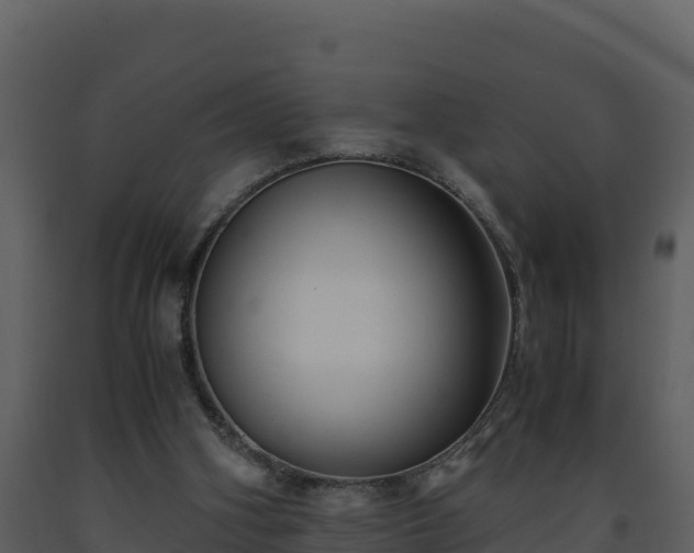 X0000093460106200710191132