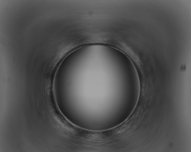 X0000093460107200710191132