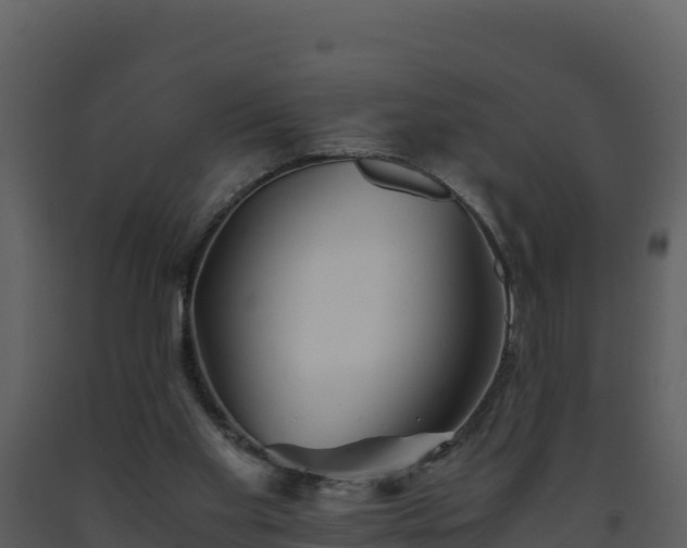 X0000093460109200710191132