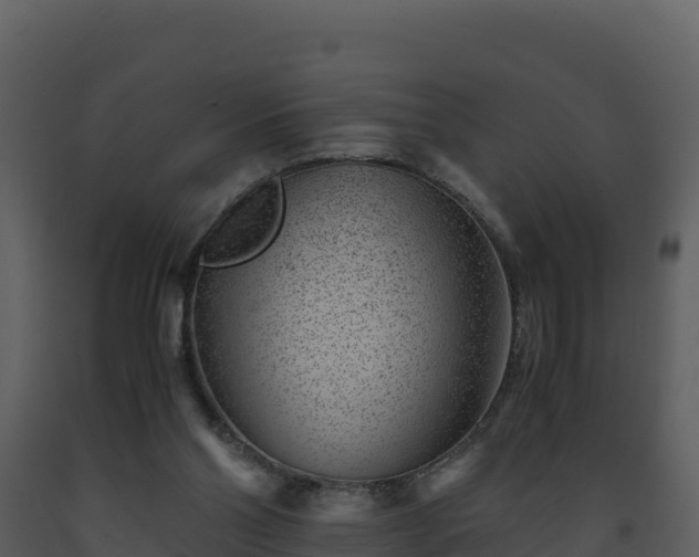 X0000093460110200710191132