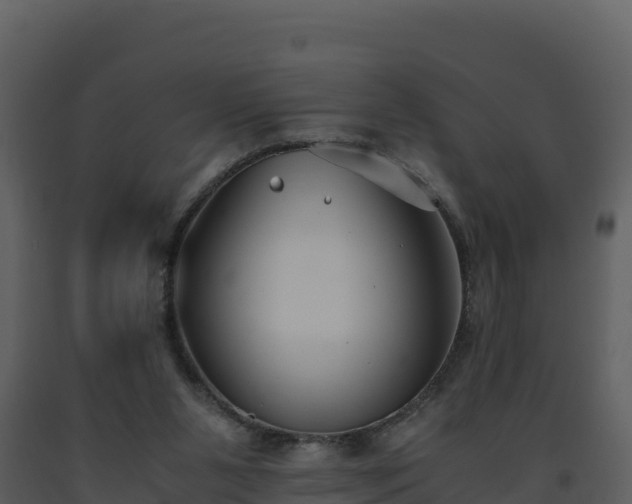 X0000093460111200710191132