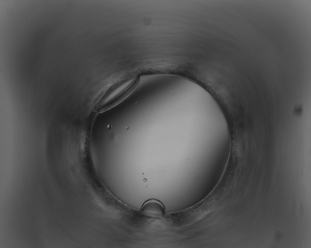 X0000093460115200710191132